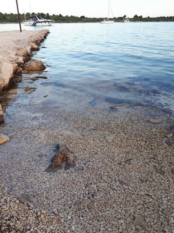 Beach House Marina Grande بيتينا المظهر الخارجي الصورة